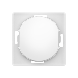 Механизм выключателя скрытой установки CADUCEUS ALING EON, двухполюсного, одноклавишного, 10АХ, 250В~