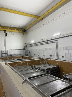 линия по производству сыра Obram