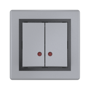 Выключатель скрытой установки CADUCEUS ALING PRESTIGE двухклавишный, с индикацией, 10АХ, 250В~