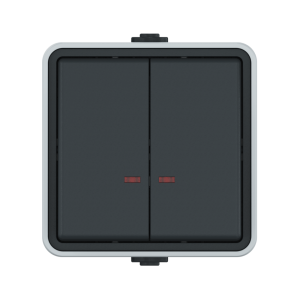 Выключатель двухклавишный CADUCEUS ALING PROTECTA для открытой проводки, с индикацией, 10АХ, 250В~