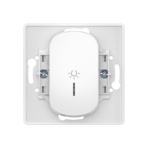 Выключатель скрытой установки CADUCEUS ALING EON, кнопочный с узкой клавишей, с символом «Свет», с индикацией, 10АХ, 250В~, механизм