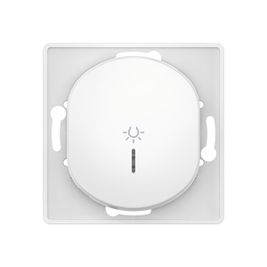 Выключатель скрытой установки CADUCEUS ALING EON, кнопочный, с символом «Свет», с индикацией, 10АХ, 250В~, механизм