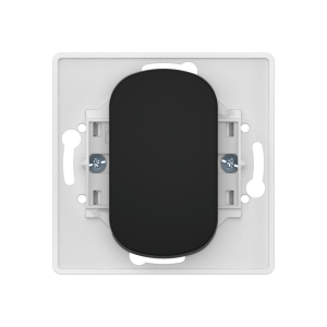 Выключатель встраиваемый двухполюсный одноклавишный CADUCEUS ALING EON с узкой клавишей, 10АХ, 250В~, механизм