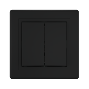 Выключатель скрытой установки CADUCEUS ALING PRESTIGE двухклавишный, 10АХ, 250В~