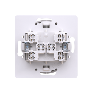 Выключатель скрытой установки CADUCEUS ALING EON, двухклавишный, проходной, 10АХ, 250В~, механизм