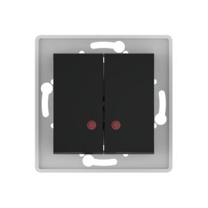 Выключатель скрытой установки CADUCEUS ALING PRESTIGE двухклавишный, с индикацией, 10АХ, 250В~, механизм