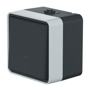 Выключатель одноклавишный CADUCEUS ALING PROTECTA для открытой проводки, с индикацией, 10АХ, 250В~