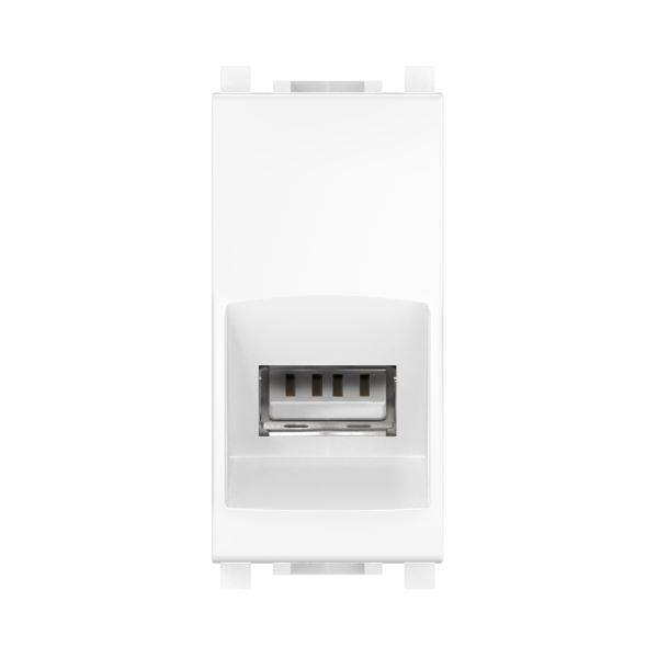 Встраиваемая розетка USB 2.0 CADUCEUS ALING EXPERIENCE, тип А-A с антибактериальной защитой