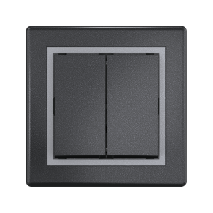 Выключатель скрытой установки CADUCEUS ALING PRESTIGE двухклавишный, 10АХ, 250В~