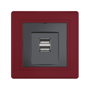 Розетка скрытой установки CADUCEUS ALING PRESTIGE двойная, USB, тип А, для зарядки устройств, 2,1А, 5В=, 250В~