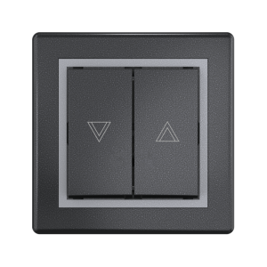 Выключатель скрытой установки CADUCEUS ALING PRESTIGE кнопочный для жалюзи/рольставней, 10А, 250В~