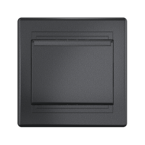 Выключатель карточный встраиваемый CADUCEUS ALING PRESTIGE, 10А, 250В~