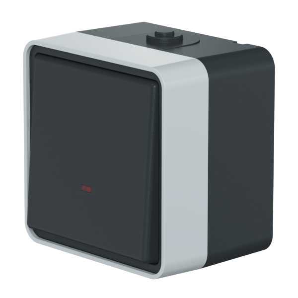 Выключатель одноклавишный CADUCEUS ALING PROTECTA, проходной, для открытой проводки, с индикацией, 10АХ, 250В~