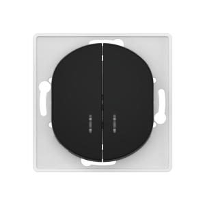 Выключатель скрытой установки CADUCEUS ALING EON, двухклавишный, с индикацией, 10АХ, 250В~, механизм