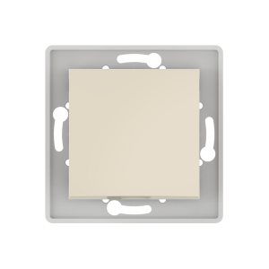 Выключатель скрытой установки CADUCEUS ALING PRESTIGE одноклавишный, 10АХ, 250В~, механизм