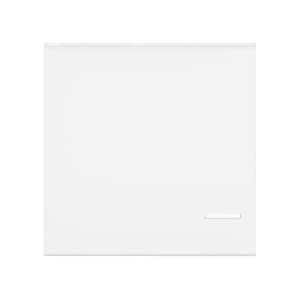 Клавиша антибактериальная CADUCEUS ALING EXPERIENCE с индикаторным окошком, 2М