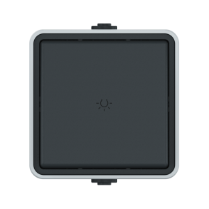 Выключатель одноклавишный кнопочный CADUCEUS ALING PROTECTA для открытой проводки, с символом «свет», 10АХ, 250В~