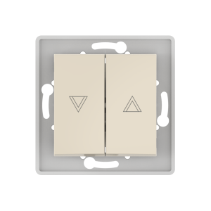 Выключатель скрытой установки CADUCEUS ALING PRESTIGE кнопочный для рольставней/жалюзи, 10А, 250В~, механизм