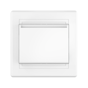 Выключатель карточный встраиваемый CADUCEUS ALING PRESTIGE, 10А, 250В~