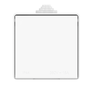 Розетка электрическая CADUCEUS ALING OG для открытой проводки, без шторок, с крышкой, 16А, 440В~