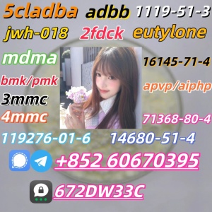 Safe delivery CAS 119276-01-6 China Factory