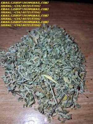 Signal:@Realjames.39 BUY GBL, GHB, heroin, bromadol hydrochloride, MDPV, ephedrine, euthylone ONLINE