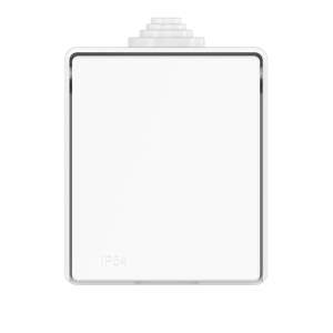 Розетка электрическая CADUCEUS ALING OG для открытой проводки, без шторок, с крышкой, 16А, 250В~