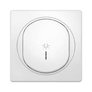 Выключатель скрытой установки CADUCEUS ALING EON, кнопочный, с символом «Свет», с индикацией, 10АХ, 250В~