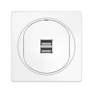 Розетка скрытой установки CADUCEUS ALING EON USB тип A для зарядки устройств, двойная, 2,1А, 5В=, 250В~