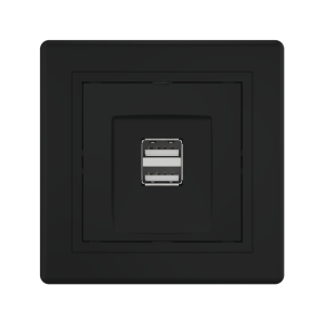 Розетка скрытой установки CADUCEUS ALING PRESTIGE двойная, USB, тип А, для зарядки устройств, 2,1А, 5В=, 250В~