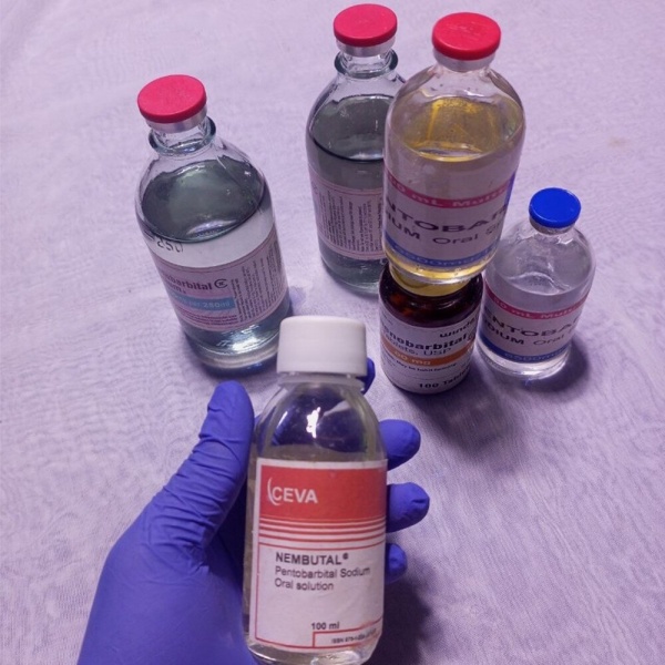 Купить обезболивающие | MDMA, 2CB, A-PVP, 3CMC | OZEMPIC