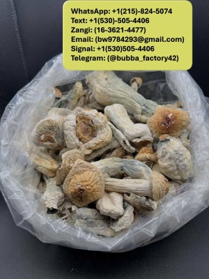 Telegram:(@bubba_factory42) Buy Weed, Cocaine, Heroin and Shrooms in Dubai UAE Malaysia Oman Kuwait Bahrain Saudi Arabia Qatar