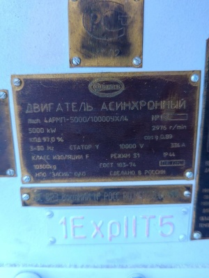 4АРМП 5000 кВт /10000 в