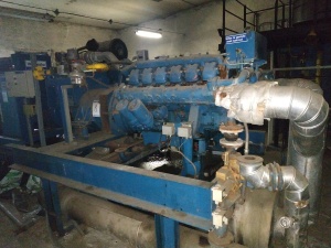 Stamford газовая электростанция ( электрогенератор), типа HC434 D