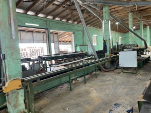 Diametras АS231 (горбылевочный станок)