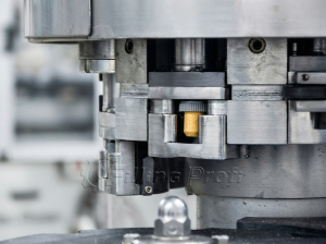 Автомат укупорочный роторный Камю, 7000 бут/ч