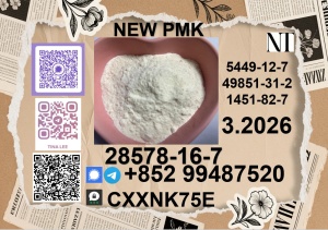 China Reliable supplier P.M.K Cas 28578-16 -7