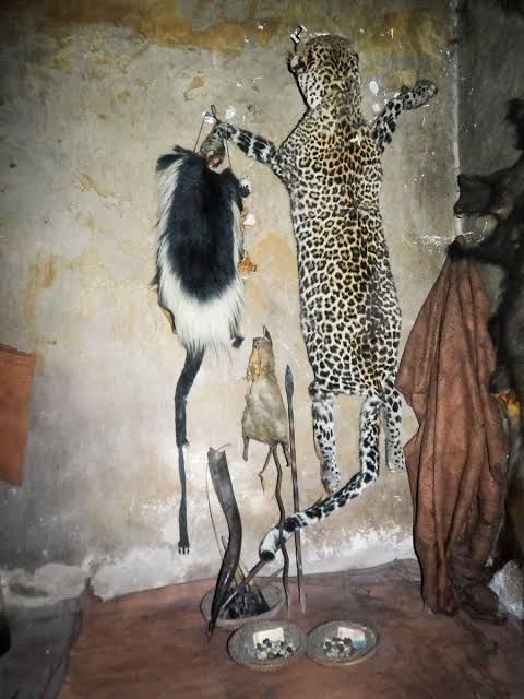 TRADITIONAL HEALER [+27672740459]] ╬ SANGOMA TO BRING BACK LOST LOVE SPELLS CASTER, The Most Powerful Black Magic Voodoo Spells Caster