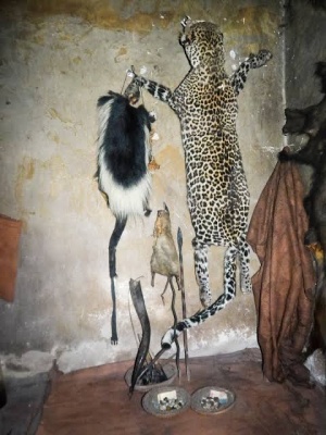 TRADITIONAL HEALER [+27672740459]] ╬ SANGOMA TO BRING BACK LOST LOVE SPELLS CASTER, The Most Powerful Black Magic Voodoo Spells Caster