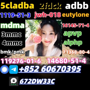 Safe delivery CAS 119276-01-6 China factory