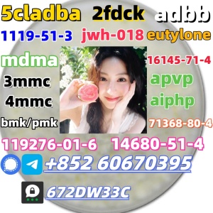 Safe delivery CAS 119276-01-6 China factory