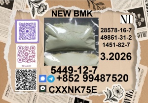 How to Buy CAS No. 5449-12-7 P.MK Oil