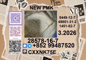 Buy CAS No. 28578-16-7 P.M.K Oil