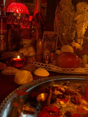 Parakutakbrotherhood