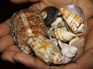 +256730252540 INSTANT DEATH SPELL CASTER IN USA,TEXAS, VIEW PARK CALIFORNIA / REVENGE SPELLS