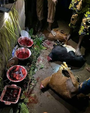 +2349053366074 Real Revenge and Instant Death Spell Services