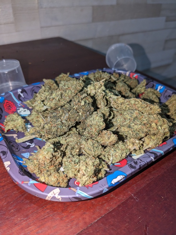 Telegram @strtplugg Buy Cocaine Weed in Dubai, Abu Dhabi