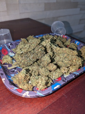 Telegram @strtplugg Buy Cocaine Weed in Dubai, Abu Dhabi