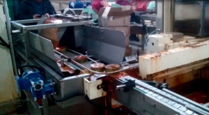 Линейный (щелевой) наполнитель заливы