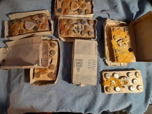 Транзисторы ГТ806 Новые